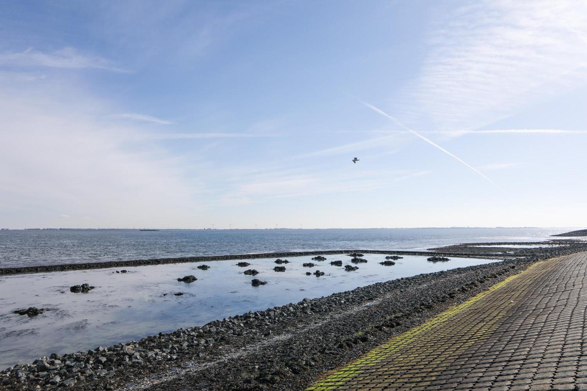 Strand Appartementen Wemeldinge I Bella Zeelandia Exteriör bild